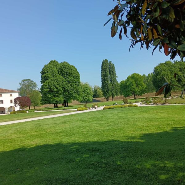 Il fascino del giardino all’italiana