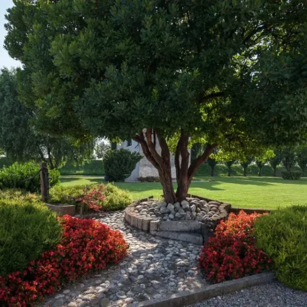 Villa Pacchierotti de Benedetti giardino